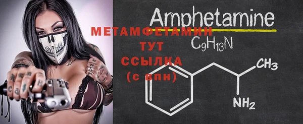 ГАЛЛЮЦИНОГЕННЫЕ ГРИБЫ Ладушкин