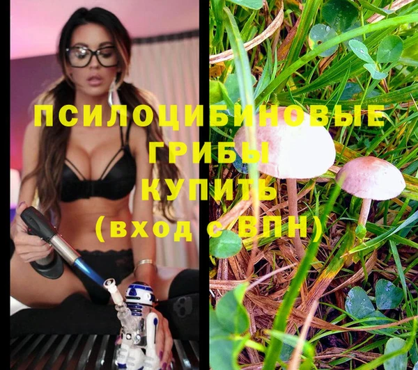 мдма Ельня