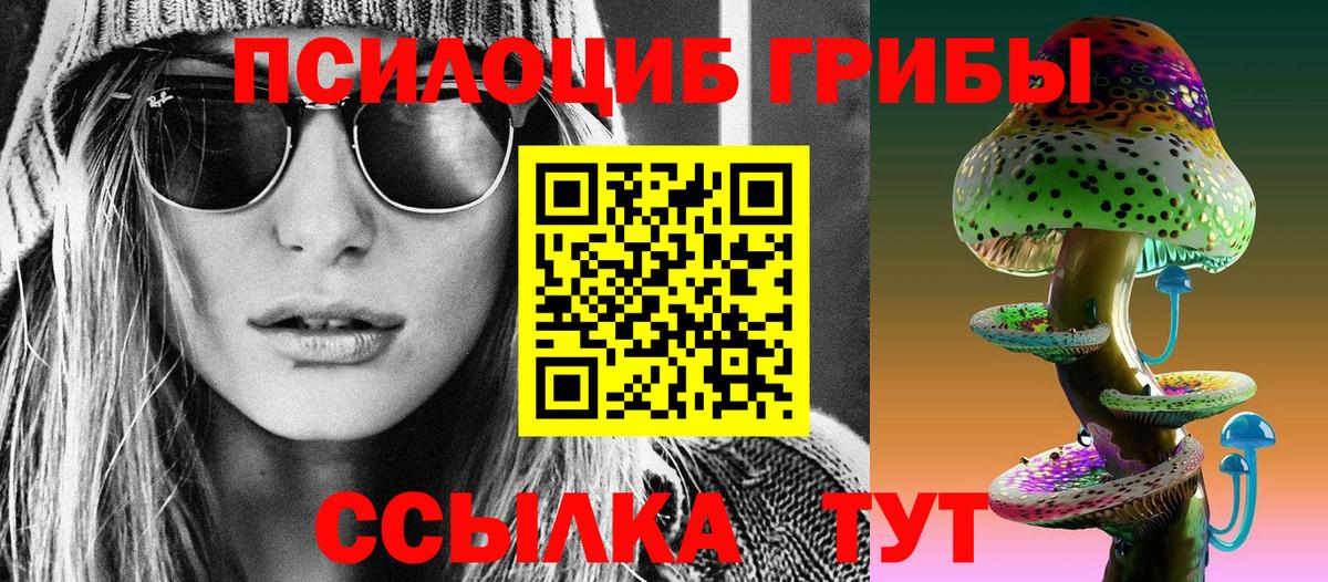 где найти   Верхняя Салда  Псилоцибиновые грибы Cubensis 