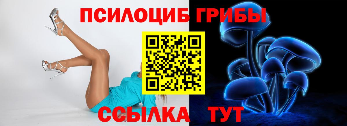 Псилоцибиновые грибы мухоморы Верхняя Салда